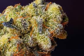Emerging Trends and Key Insights for Canadians Looking to Buy Cannabis Online Affordably