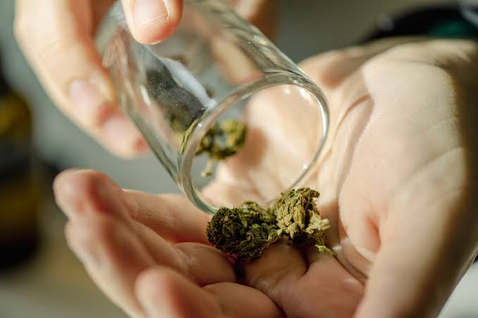 Emerging Trends and Key Insights for Canadians Looking to Buy Cannabis Online Affordably